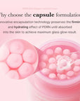 PDRN Salmon Collagen Cream Brightening, Hydrating & Tone-Perfecting