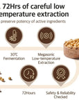 Mixsoon Vegan Snail Essence Glass-Skin Hydration